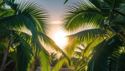 Poster - Tropical sunrise through palm leaves with sun rays illuminating foliage in a peaceful setting with Copy Space