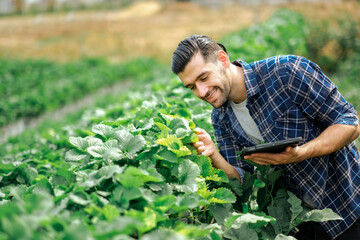 Young Latin man using ltablet for his farm, Male farmer use digital technology wth his botanical business with happiness.