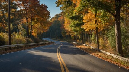 Wall Mural - winding road through autumn trees in a serene landscape during late afternoon