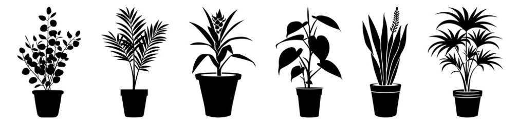 Poster - PNG Silhouettes of various potted plants, element set on transparent background