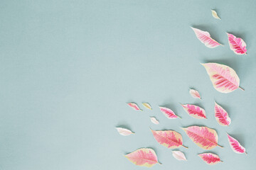 Wall Mural - pink leaves on blue paper background