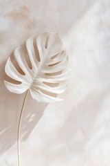 Wall Mural - The graceful shadow of a monstera leaf is cast on a white marble wall, enhanced by warm golden sunlight filtering through. This creates a serene and elegant minimalist atmosphere