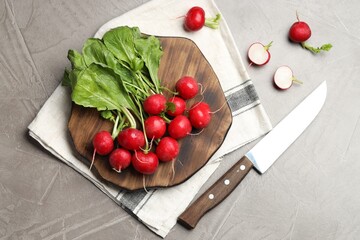 Wall Mural - Many fresh radishes and knife on grey textured table, flat lay