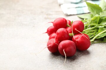 Wall Mural - Many fresh radishes on grey textured table, closeup. Space for text