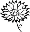 © MDAriful - Aster flower bold line art vector illustration