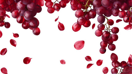 Wall Mural - Falling red grapes, cutout, isolated on a transparent background. transparent Background, clipping path  -  