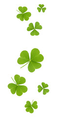 Wall Mural - four leaf clover PNG. green shamrocks falling down PNG. Lucky green shamrocks falling down in mid-air. Fresh four-leaf clovers floating, symbolizing luck and good fortune for Saint Patrick's Day.