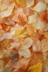 Wall Mural - Close-up of scattered autumn leaves in warm, earthy tones.