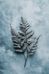 Wall Mural - Two silver-grey fern fronds on a textured blue background.