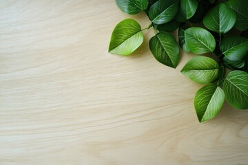 Wall Mural - Lush green leaves on light wood background, copy space.