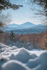 Poster - Snow falling on a winter mountain landscape.