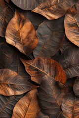 Wall Mural - Close-up of dried brown leaves, autumnal colors and textures.