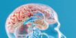 © Lila Patel - Human Brain Model with Vascular System Highlighted
