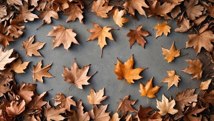 Wall Mural - Autumn leaves scattered on a gray surface with varying shades of orange and brown Copy Space