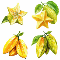 Wall Mural - Watercolor starfruit illustrations tropical fruits artistic display bright colors nature inspired visual delight