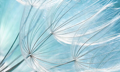 Aufkleber - Light blue abstract background with dandelion flower seeds, close-up with soft focus, beautiful details and texture of nature.