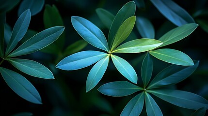 Canvas Print - Lush Teal Leaves Close-up, Dark Background, Nature Texture, Design Element