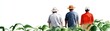 © Nopadon - Three individuals in hats stand in a green field, gazing into the distance against a bright, white background.