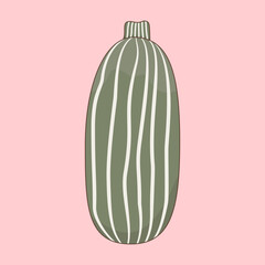 cute hand drawn zucchini vegetable vector illustration isolated on pink background