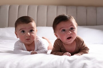 Wall Mural - Cute twin babies resting on bed indoors