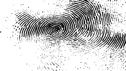 Wall Mural - detailed fingerprint on grunge background symbolizing identity verification. vector black fingerprin