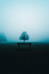 Wall Mural - Tree behind park bench in misty scenery with foggy backdrop. Conceptual use