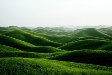 Wall Mural - Lush green hills, grassy landscape in soft light; calm backdrop for travel or nature