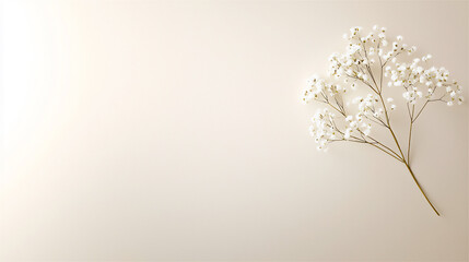 Canvas Print -  minimalist baby's breath bouquet