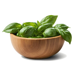 Wall Mural - Fresh green basil leaves in a small wooden bowl isolated on transparent background