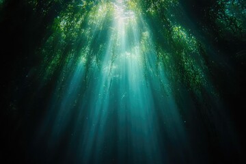 Wall Mural - Sunbeams pierce the underwater kelp forest, creating a magical, ethereal scene.