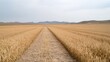 © tugkiara - Empty Field Path Leading to Distant Mountains