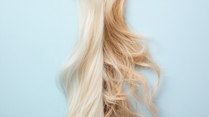 Poster - Comparison of healthy smooth hair strand and brittle damaged hair strand on light background. Generative AI