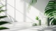 © atul _art - Serene Minimalist Still Life: Potted Plants in Sunlight