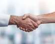 © MILKY_PS - Two Men Shaking Hands Partnership Deal Close Up