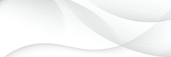 Wall Mural - vector gray line background curve element with white space for text and message design, overlapping 