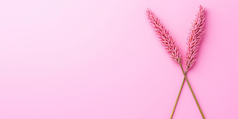 Wall Mural - A pink background