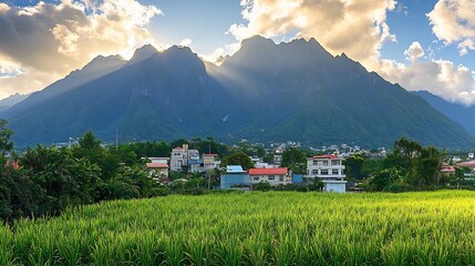 Sticker - Golden sunlight bathes vibrant green rice paddies nestled peacefully beneath majestic mountains. AI Generated