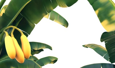 Wall Mural - Vibrant green banana leaves frame ripe yellow bananas, set against a bright white background