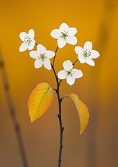 Poster - Blooming branch of flowers & leaves against golden backdrop for spring/growth-themed imagery