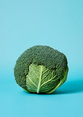 Canvas Print - Broccoli head front view on blue, flat lay style, studio shot for recipes/healthy eating