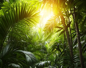 Poster - Lush Jungle Sunlight Filters Through Thick Canopy