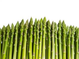 Wall Mural - Many green asparagus stalks lined up; Isolated on white background, suitable for menus/recipes