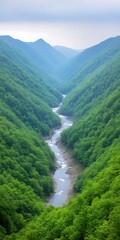 Poster - River flows through forested valley, mountains backdrop. Great for travel or nature blog header