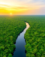 Sticker - River flows through rainforest at sunrise. Aerial shot, use environmental story, travel, nature