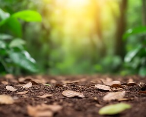 Wall Mural - Soil surface with leaves in forest. Trees and sunlight blur background. Seedling ad