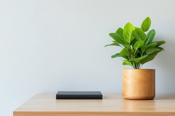 Wall Mural - A close-up of a compact, modern office workspace featuring a wooden desk, a green plant in a pot, and a simple black notebook. 