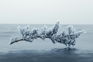 Wall Mural - Frost-covered branch elegantly dips over tranquil winter water, serene winter scene.