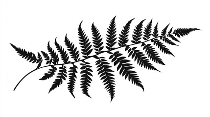 Wall Mural - Black fern frond silhouette, botanical illustration, nature design, white background, for print