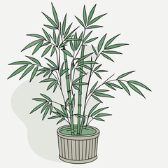 Sticker - green bamboo plant in pot vector illustration