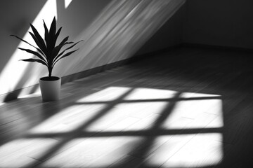 Poster - A close-up of a potted plant in black and white, great for use in designs needing a neutral background or accent